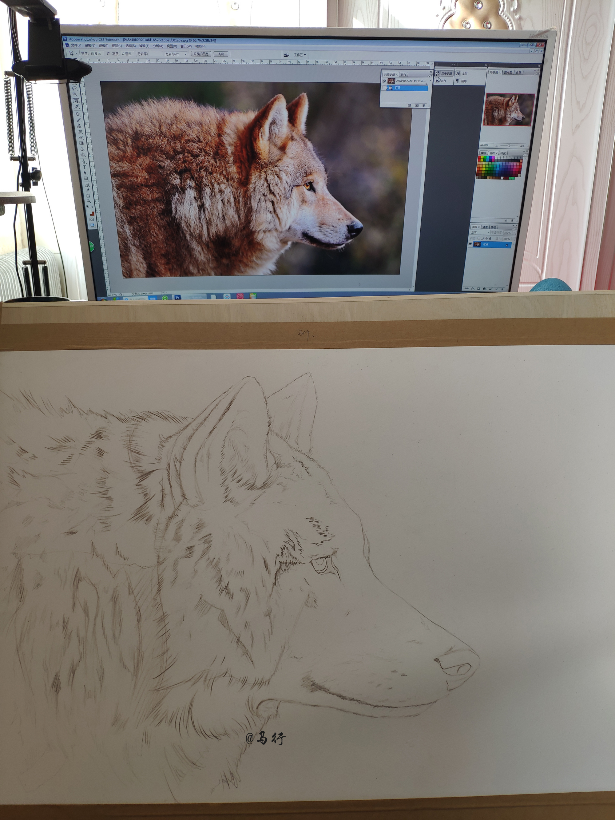 狼|纯艺术|绘画|马行画彩铅 - 原创作品 - 站酷 (zcool)