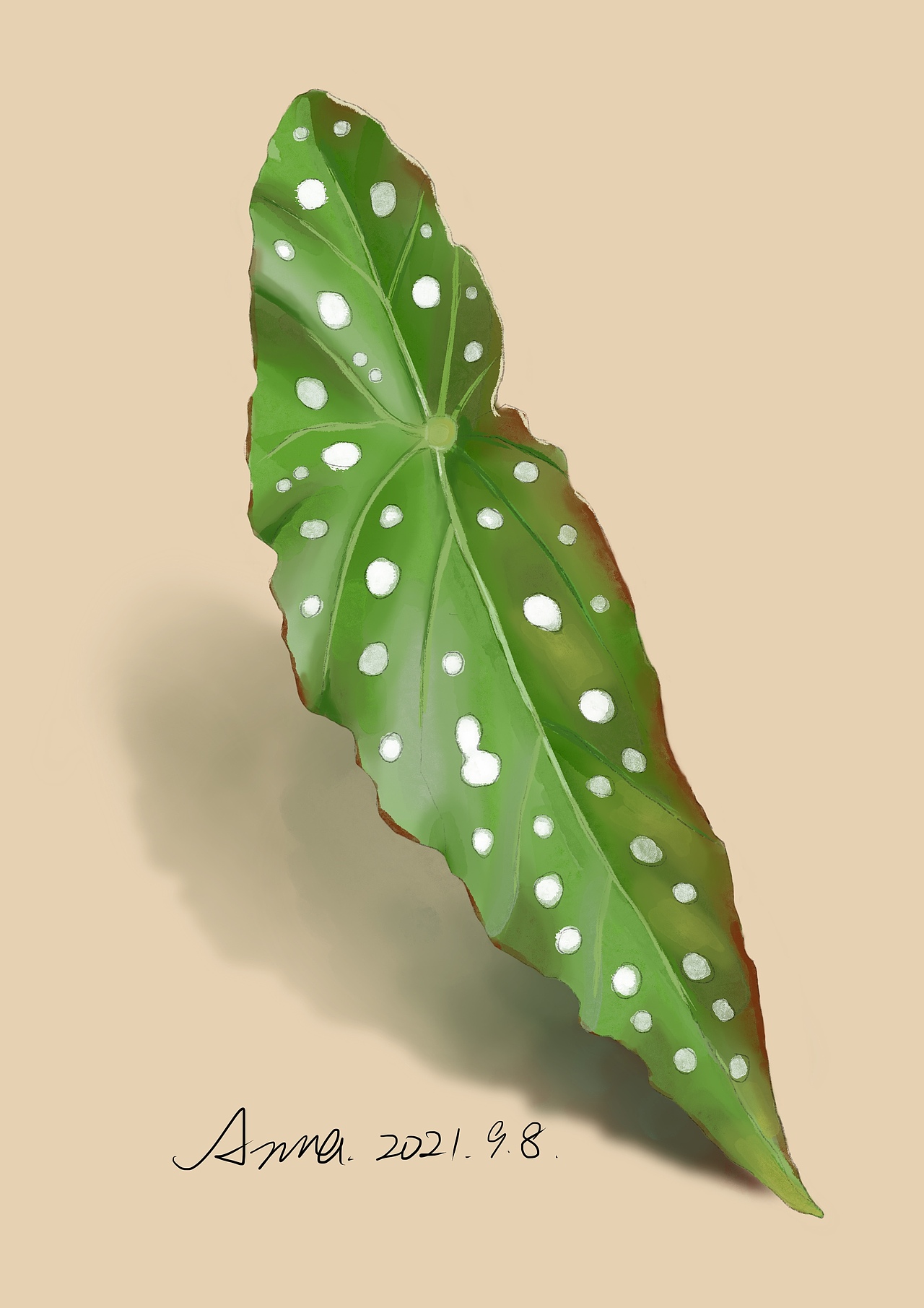 花卉类水彩习作