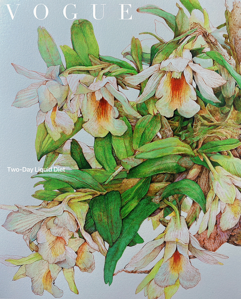 蘸水笔针管笔｜喉红石斛兰（图ZMzI4ODU4MjA0） - 艺术插画 - 站酷设计师CatCastleDZ原创素材 - 站酷ZCOOL