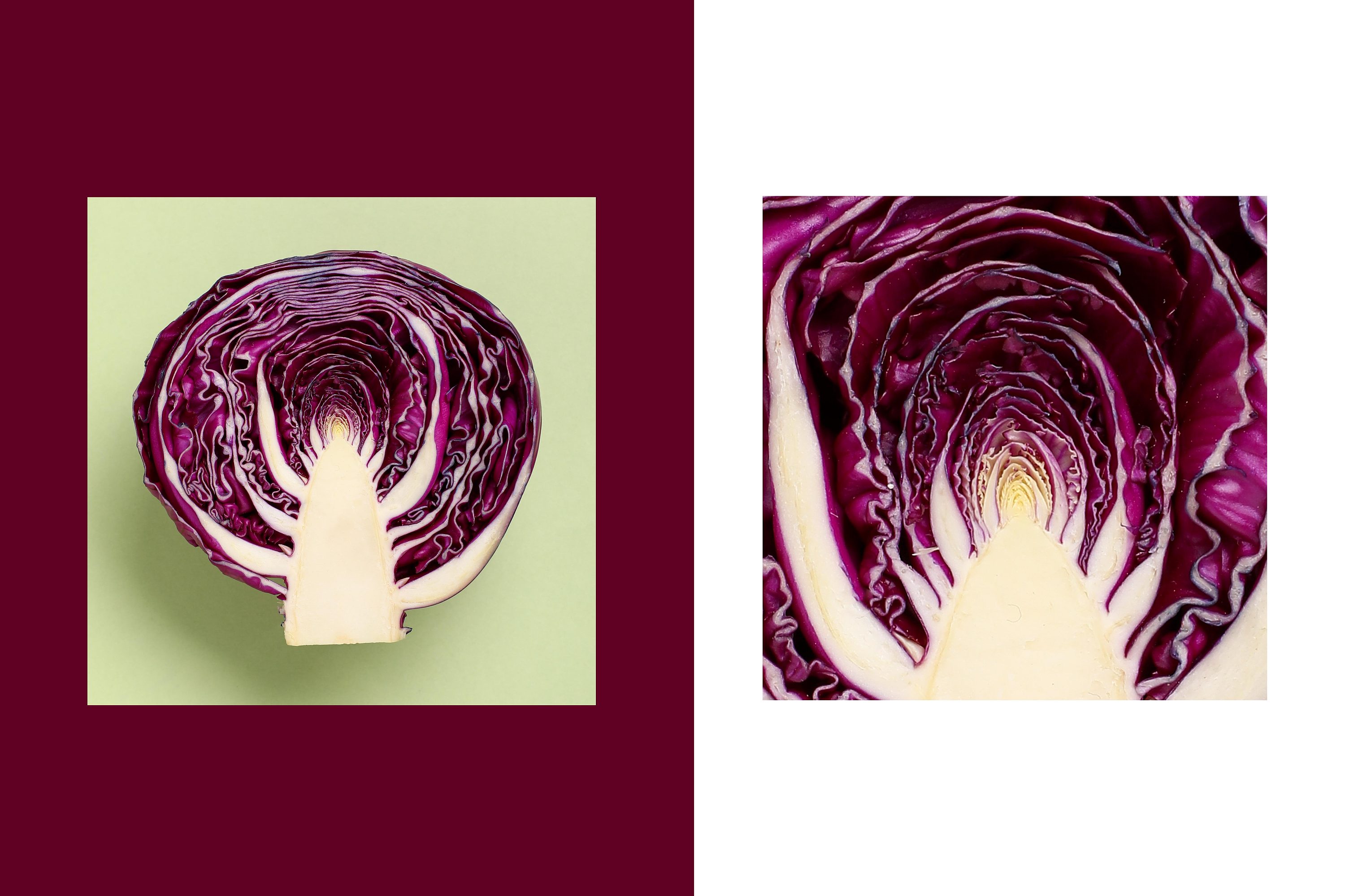 食材创意类 创意美食