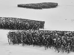 二妃山公园雪景