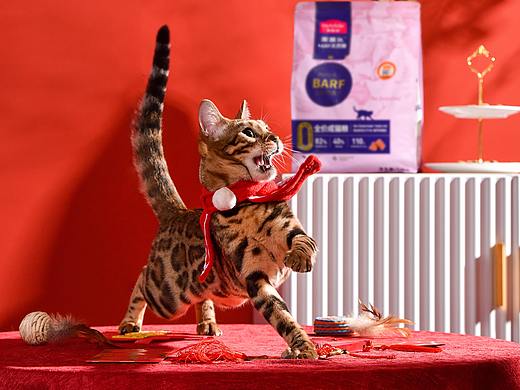 猫咪主粮之麦富迪年夜饭