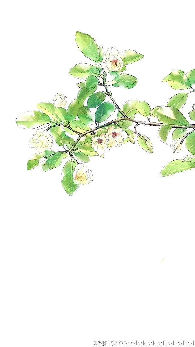 《青春美文》杂志插图61《天女木兰》水彩插画设计