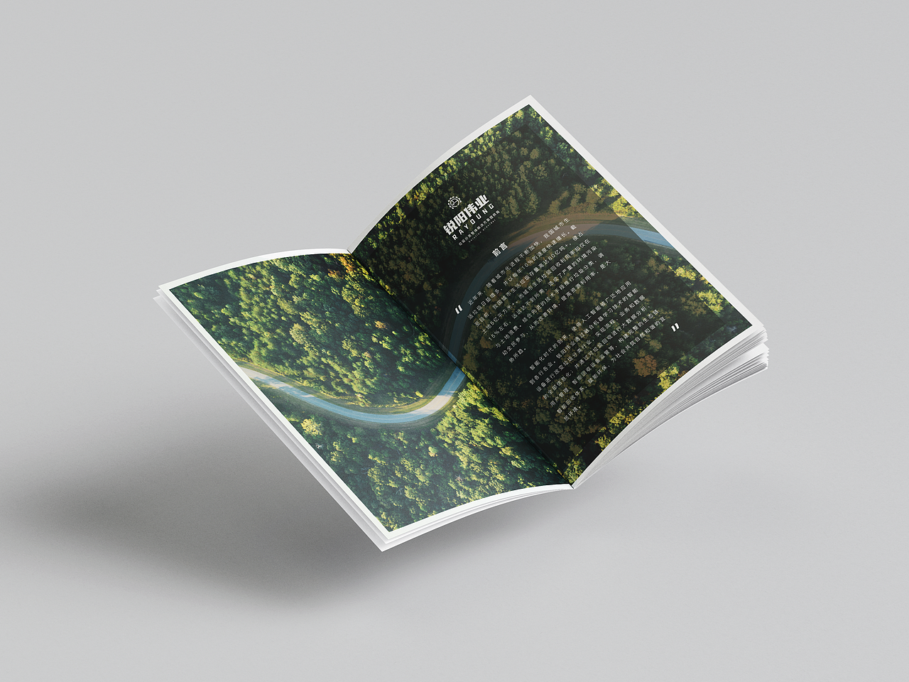 企业宣传画册