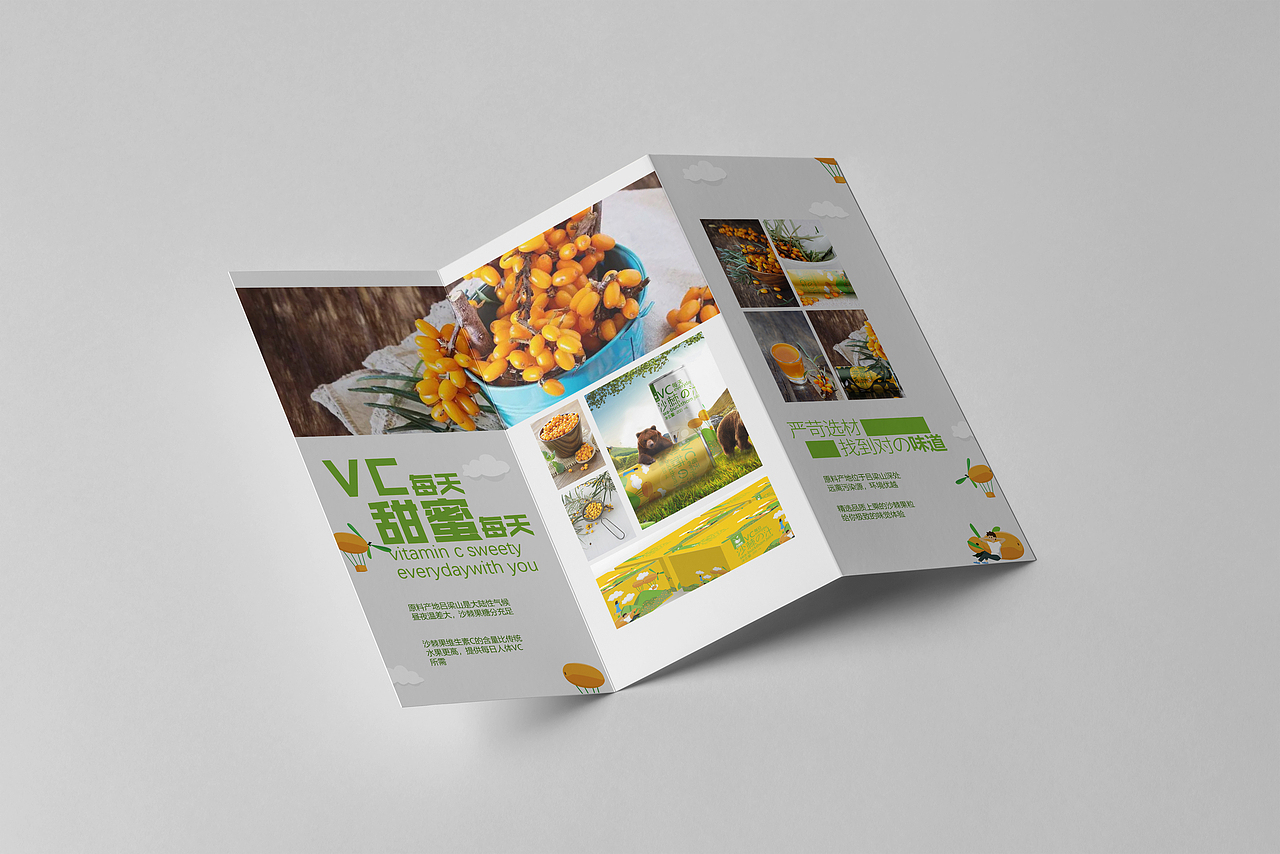 我的毕业设计——自创品牌“天橙座”沙棘汁全案设计