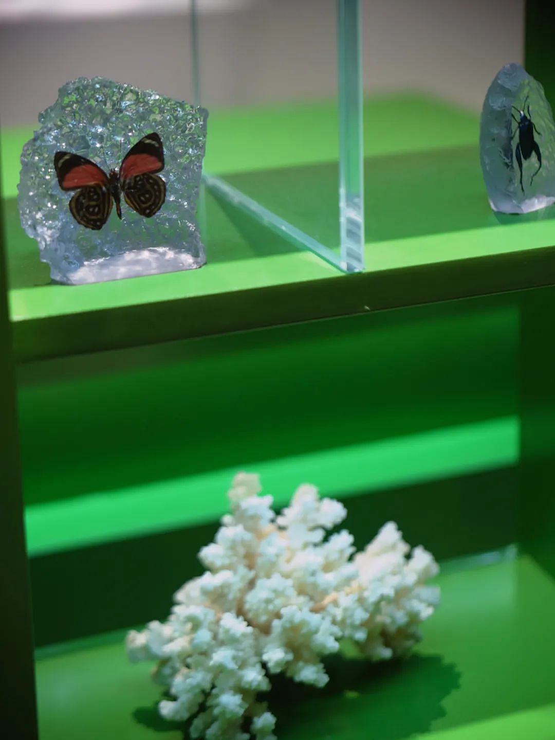 游动的几何——微型珠宝艺术博物馆（图ZMjkwNjYwMzg0） - 商业空间设计 - 站酷设计师匠研组设计事务所原创素材 - 站酷ZCOOL