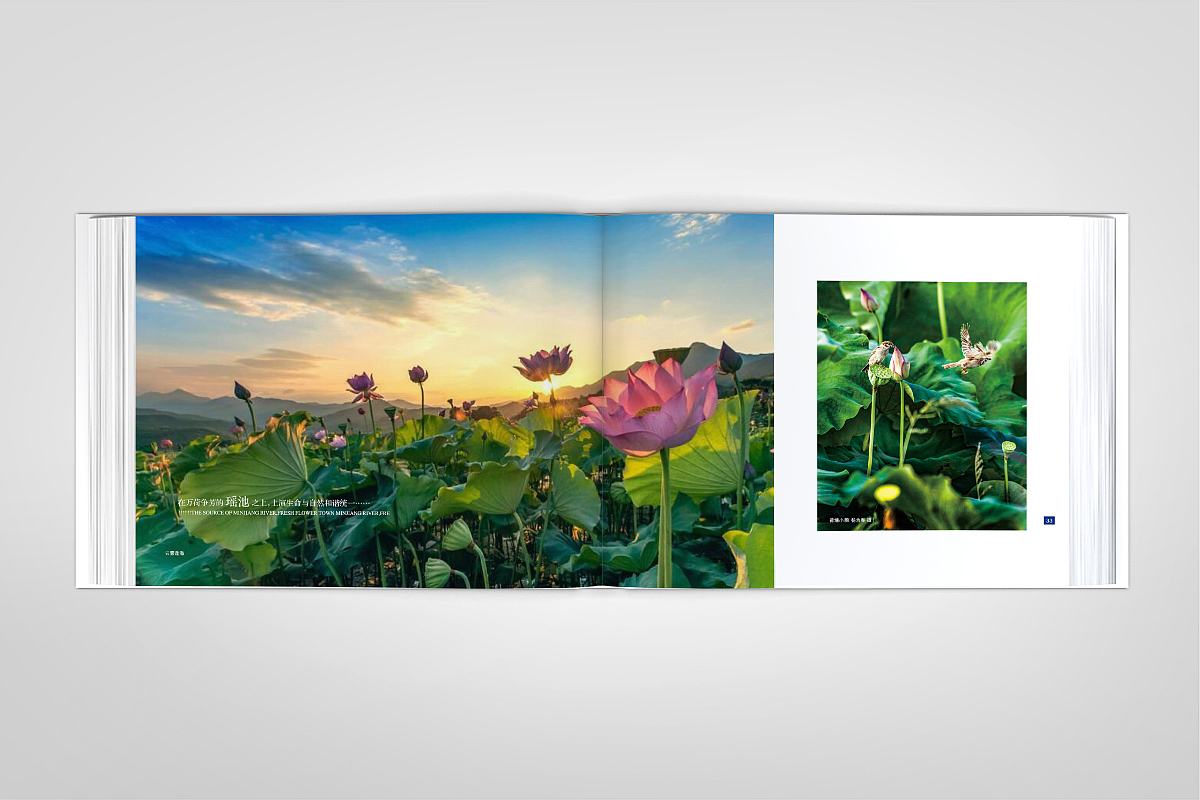 清新花香·福源建宁-精装画册-源艺设计