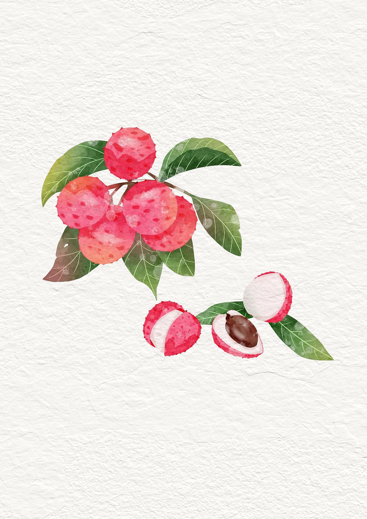 几张干净的水彩水果画