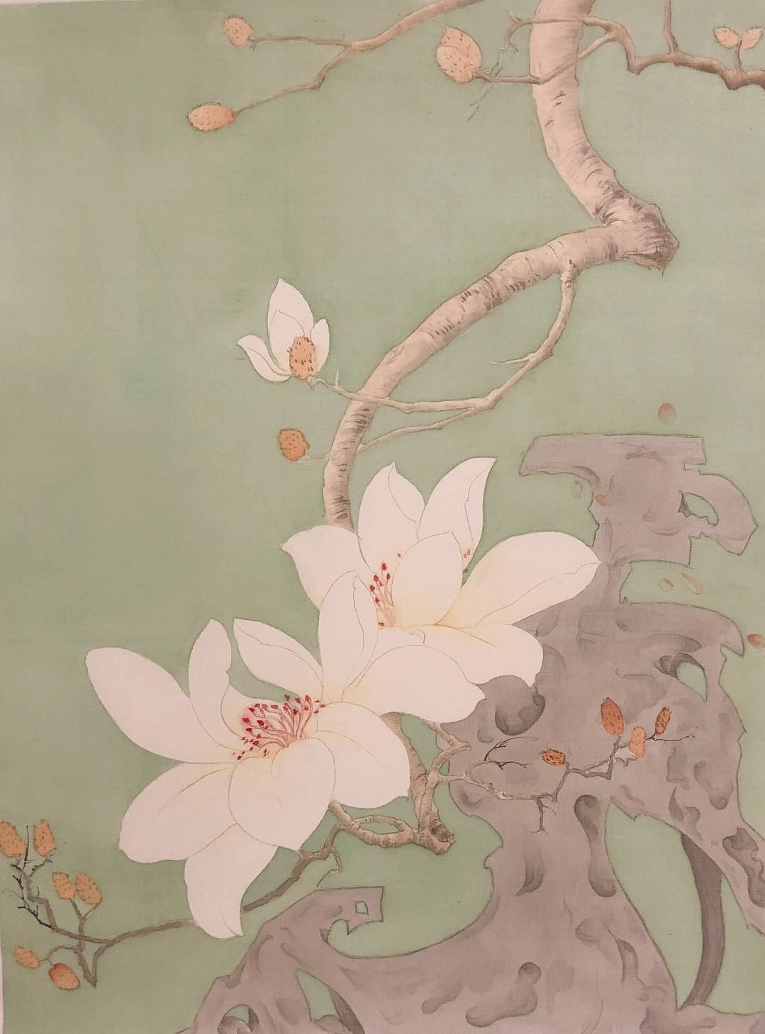 工笔玉兰|纯艺术|绘画|小丸子wj_原创作品-站酷(zcool)