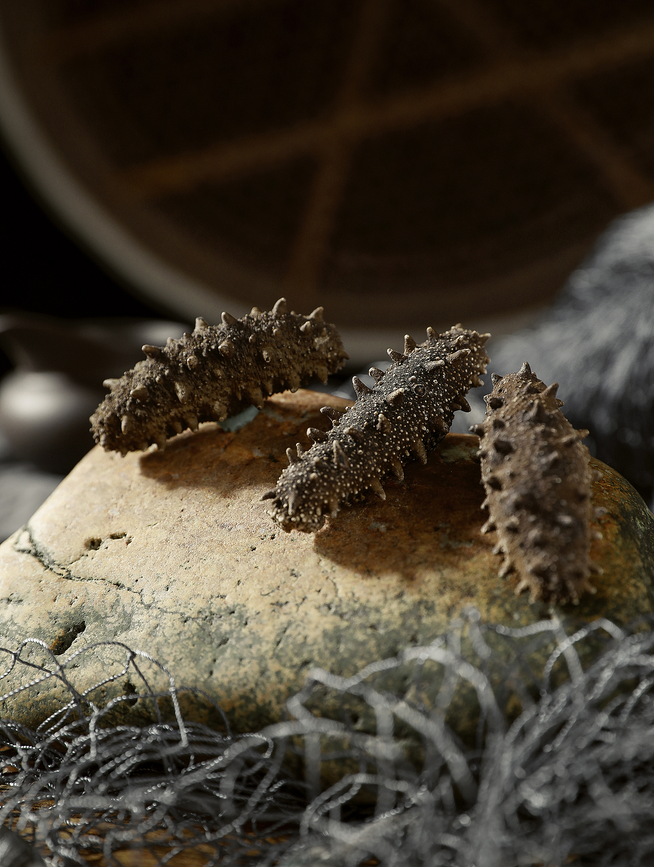 海参静物摄影*1