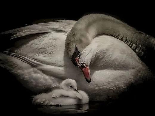 2021创意摄影大赛奖项公布！网友：这难道不是P图大赛吗？