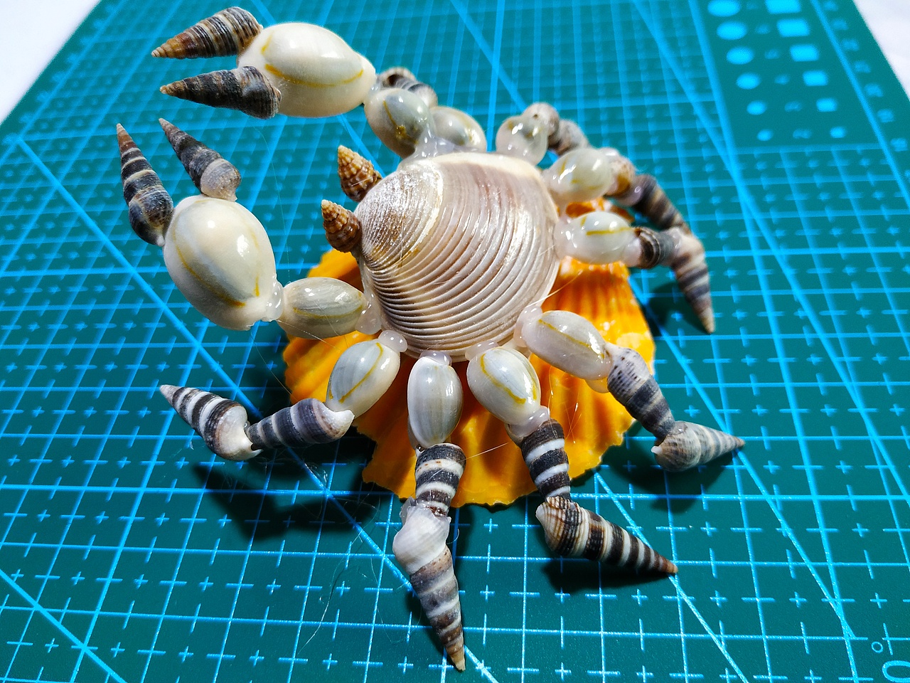 贝壳做的螃蟹|手工艺|手办/模玩|喜欢手工的人_原创作品-站酷zcool