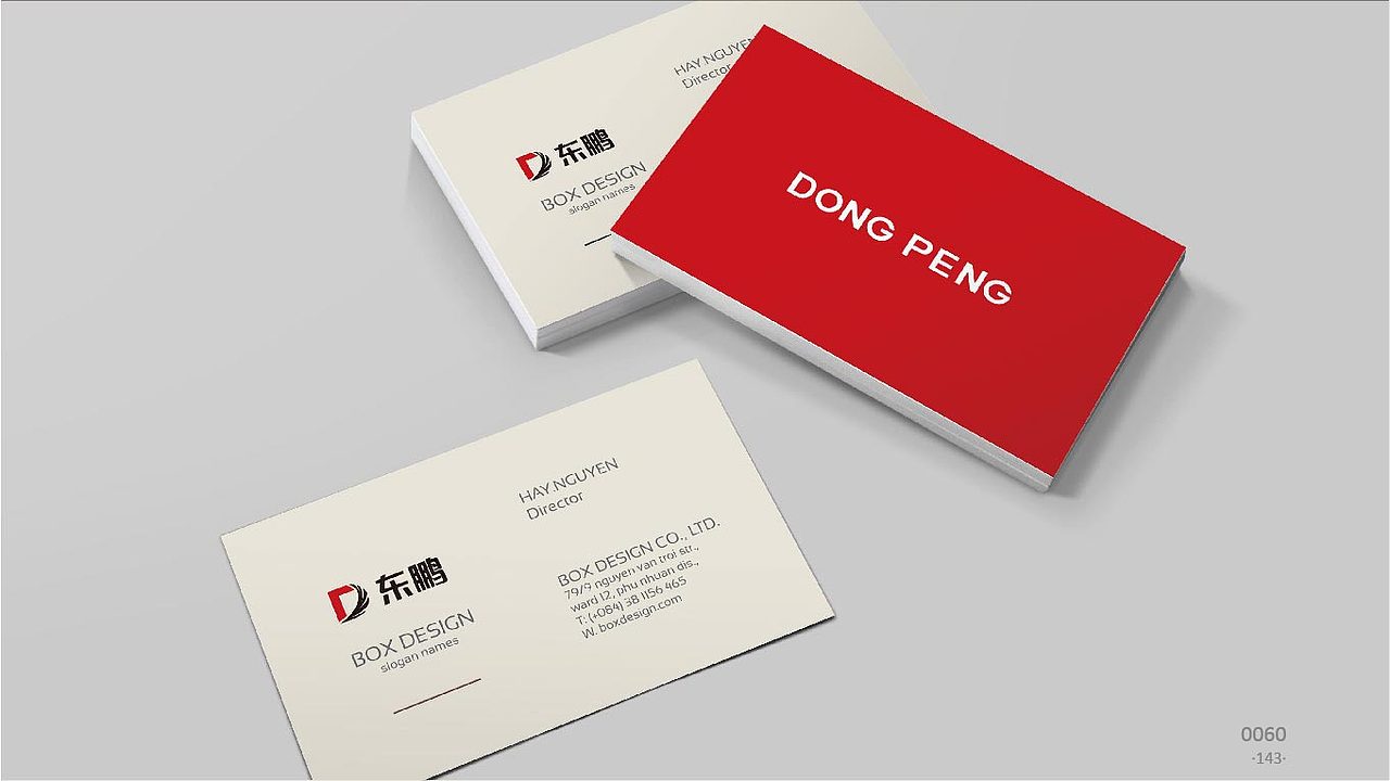 东鹏集团LOGO汇报方案-飞机稿