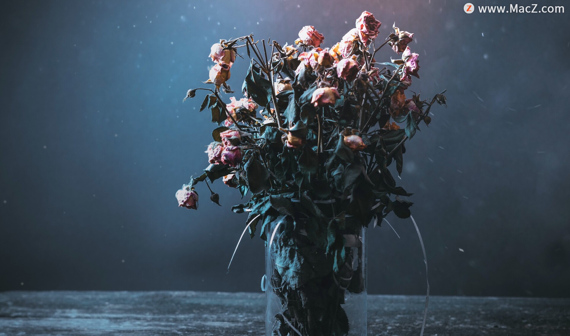 5个深色调照片后期效果lr预设|其他|资讯|醉舞千年杯莫停 - 原创文章