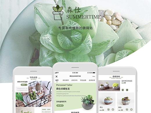多肉植物微网站