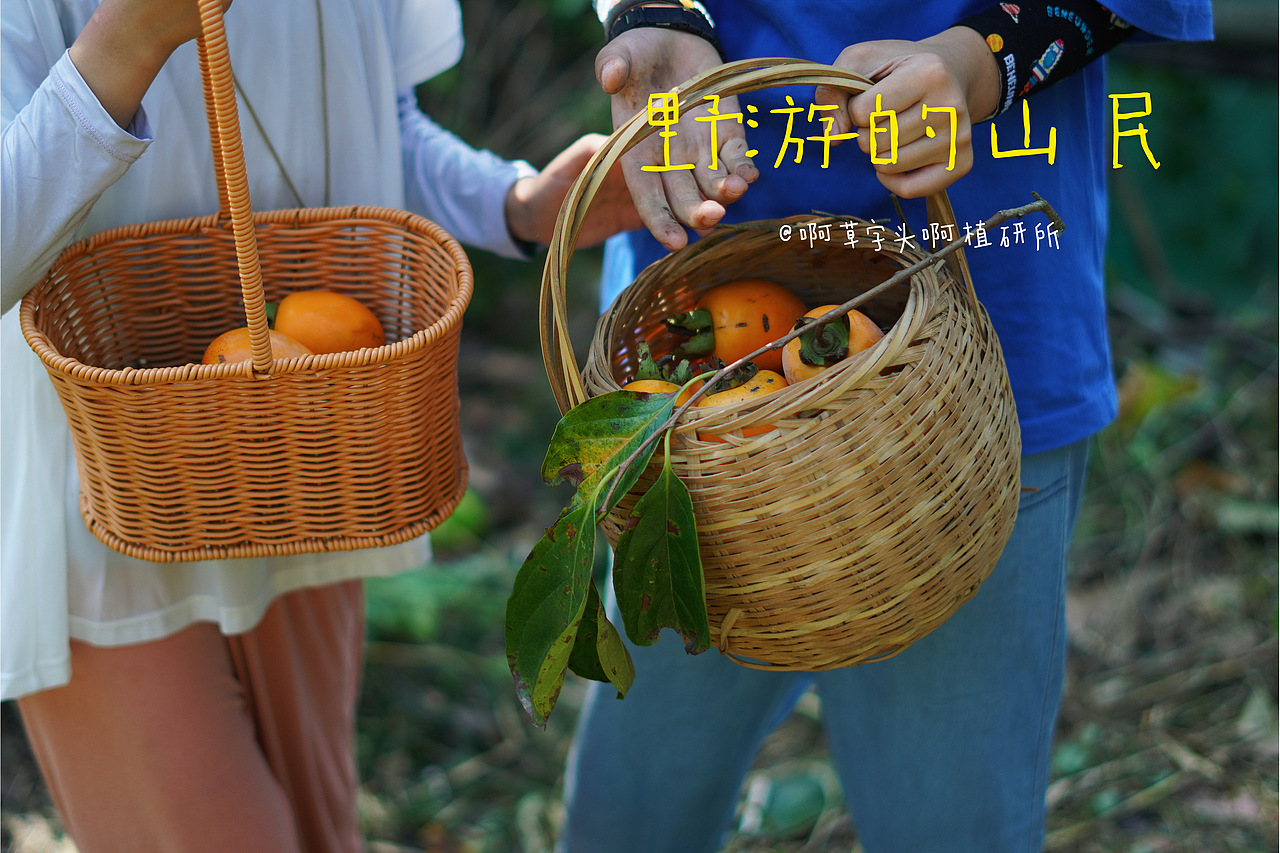 国庆营-野游的山民02