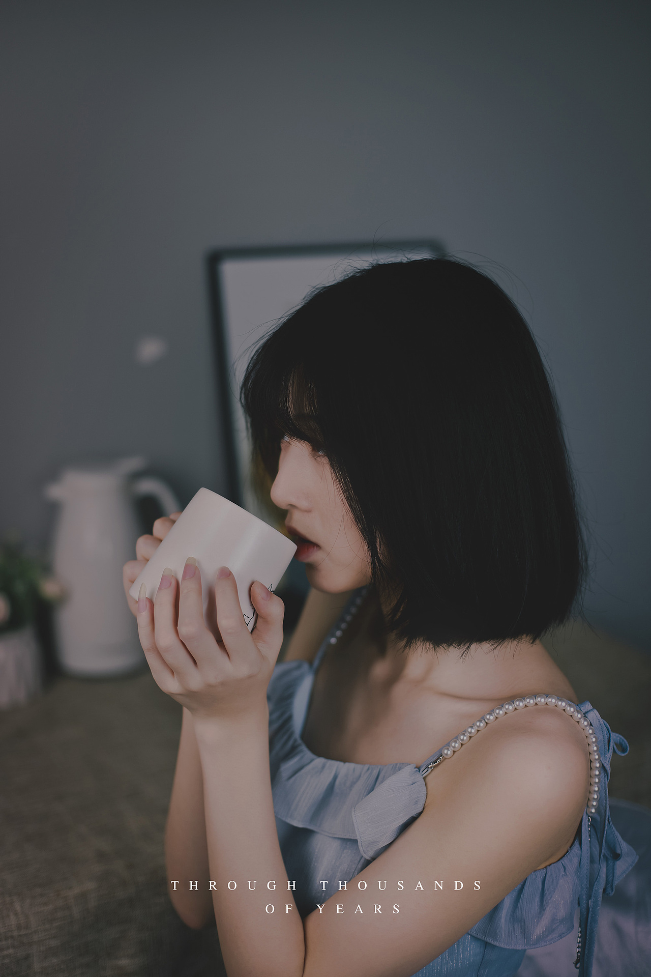 两人两猫三餐四季,过好这一生