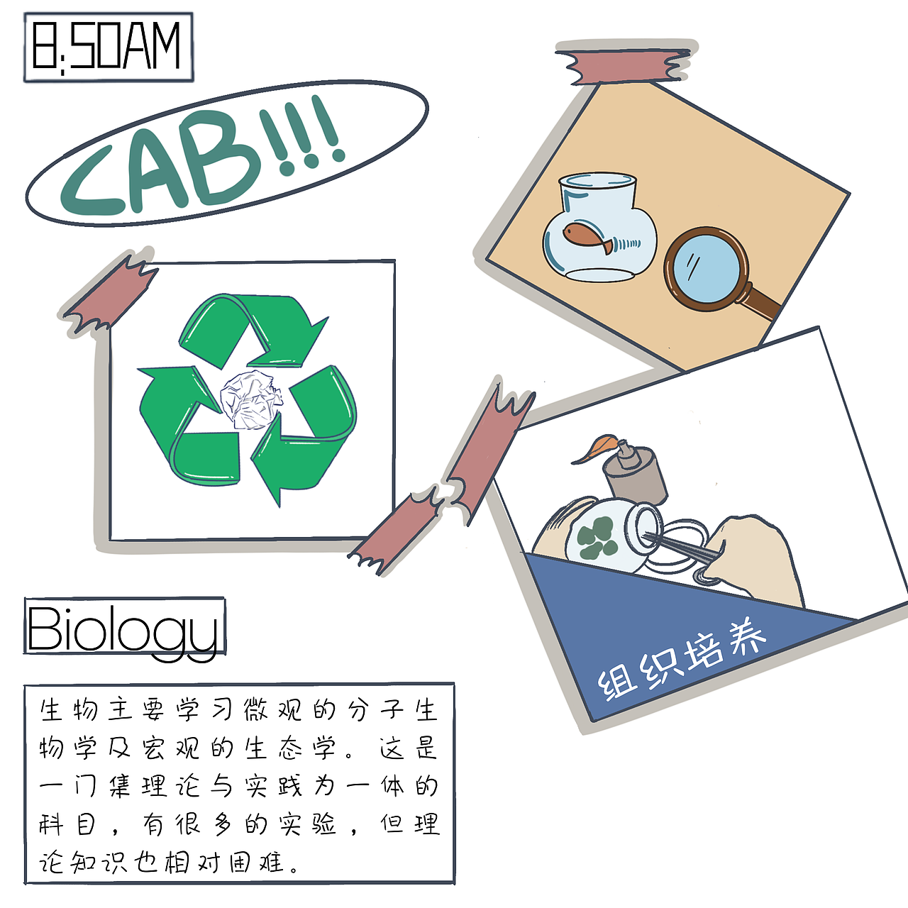 Life in my school| Courses in Beijing101 ID（图ZMjY3MjAzMDM2） - 绘本 - 站酷设计师Margaret_J126原创素材 - 站酷ZCOOL