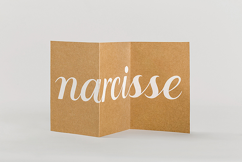 容品牌:水仙美容综合体-子品牌规划设计