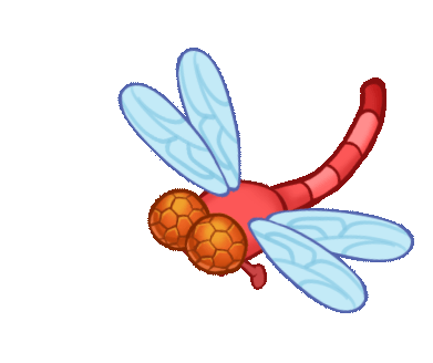 小动物【动图】