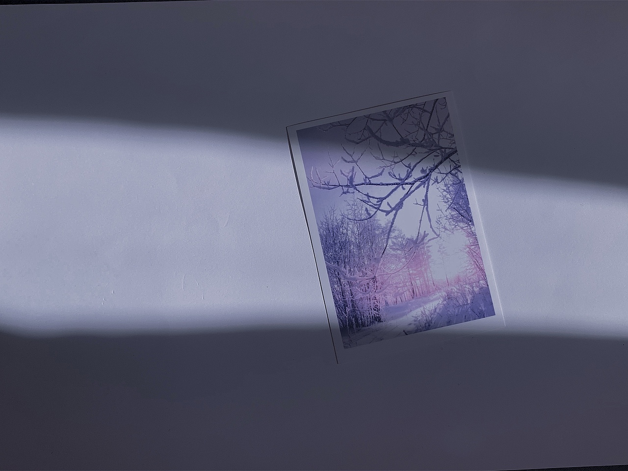 今天是干净 静谧 沉郁 明亮 透彻的