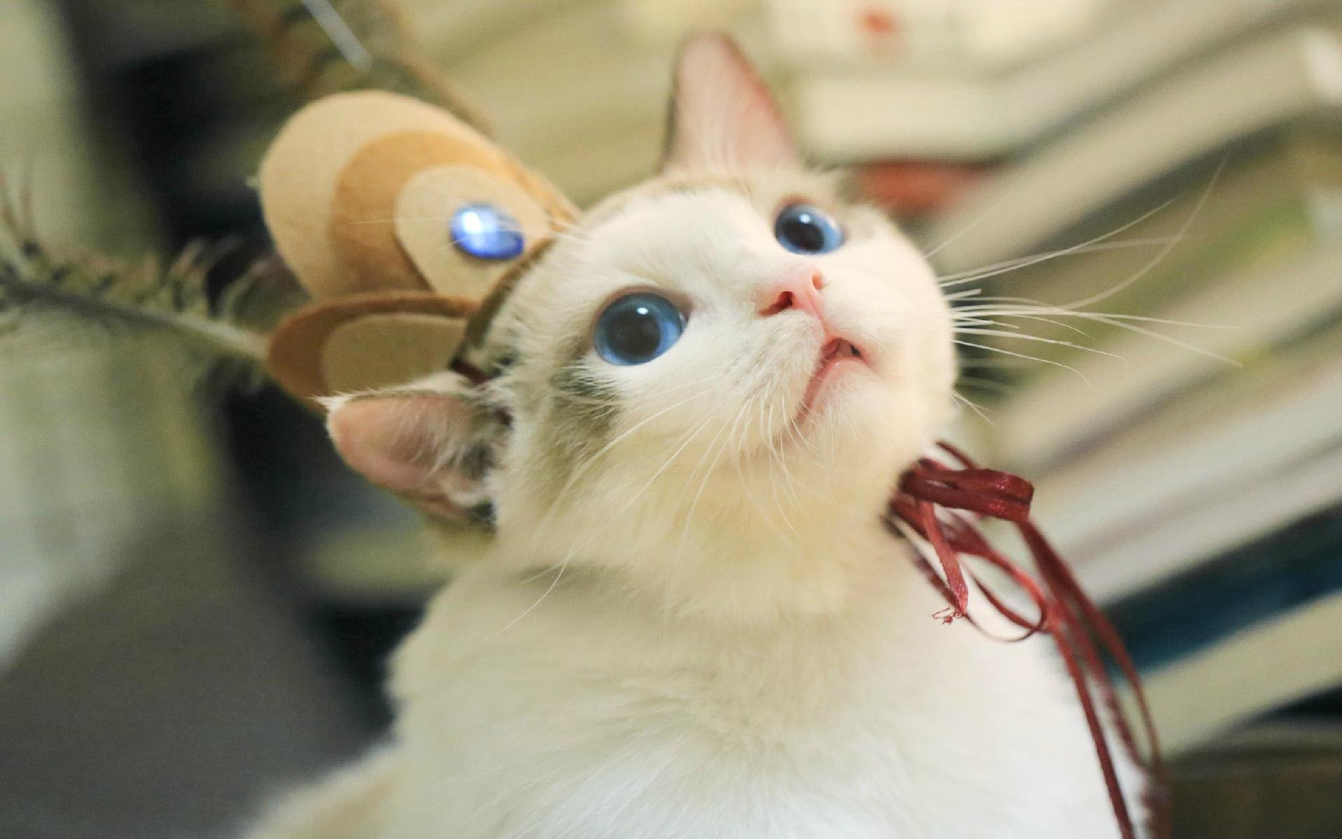 一缕沙子的个人主页（封面预览） - 主页封面设置 - 站酷设计师一缕沙子原创素材 - 站酷ZCOOL