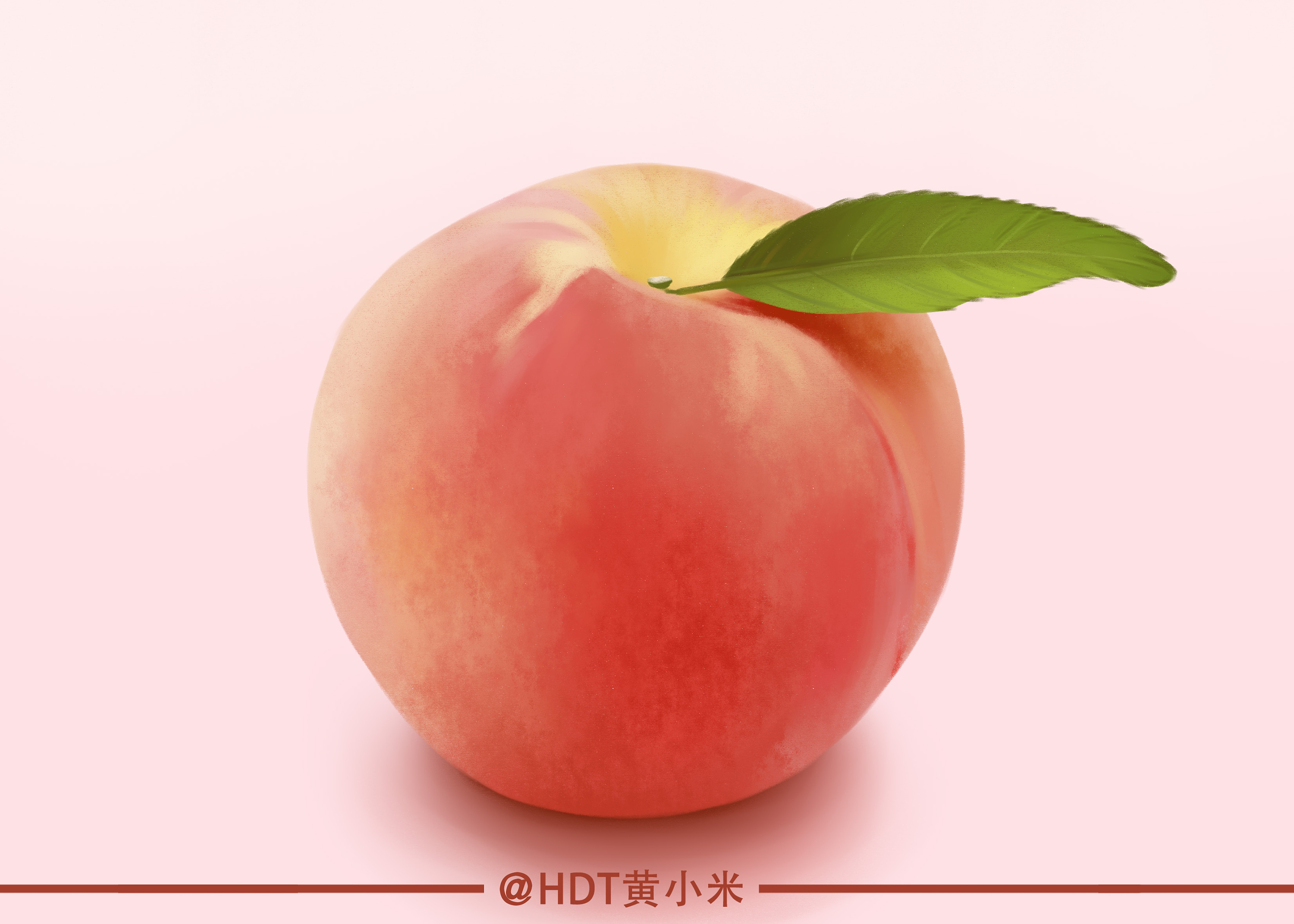 一组噪点写实风格水果插画