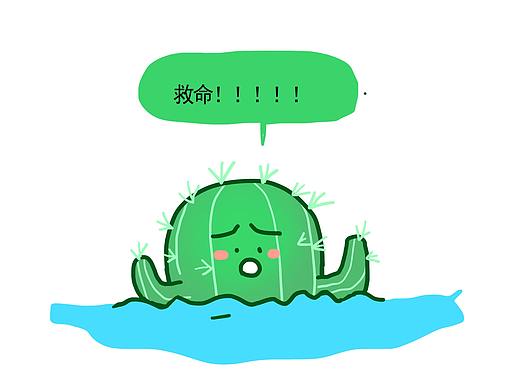 小仙人掌掉水里了！！