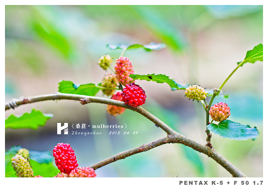 《桑葚.mulberries》（图ZODk2MDQzMg==） - 产品摄影 - 站酷设计师haodychou原创素材 - 站酷ZCOOL