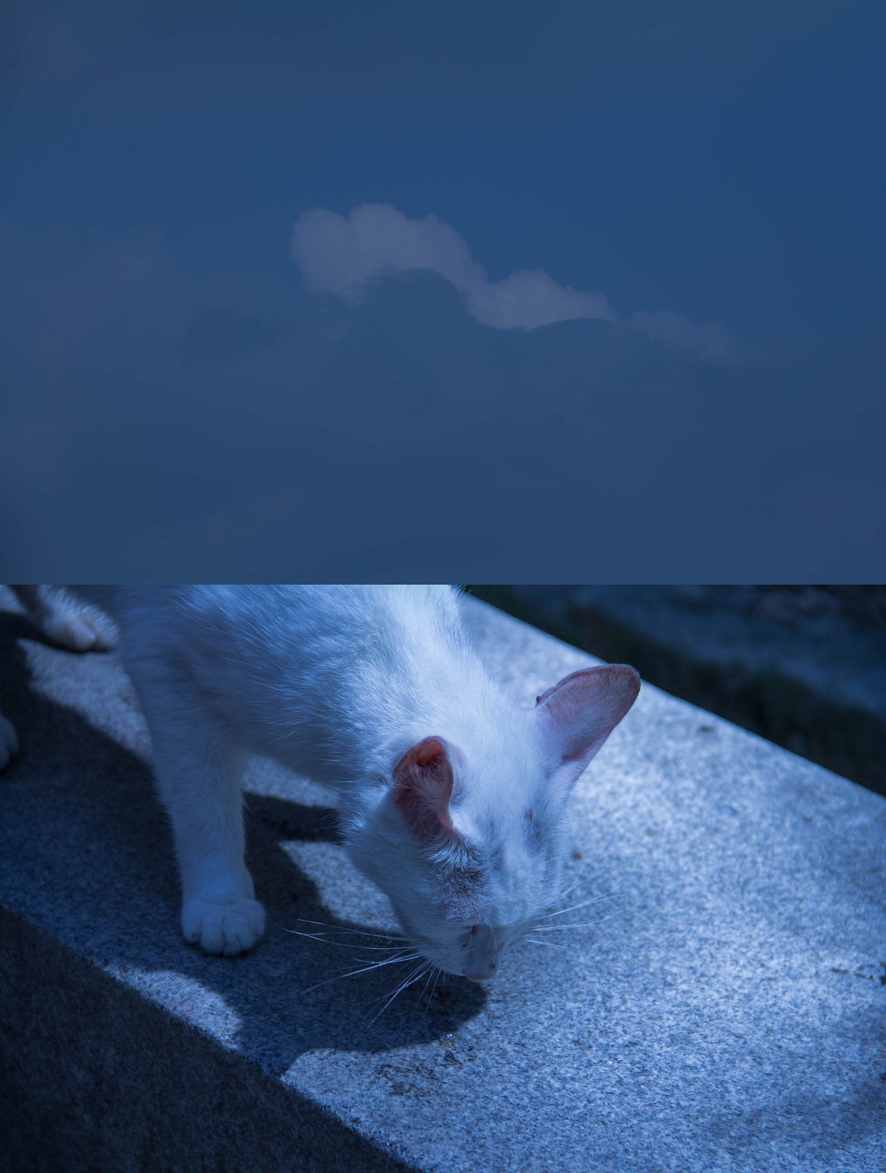 空山阵雨后（图ZMTY0OTI3NjEy） - 风光摄影 - 站酷设计师毛线1995原创素材 - 站酷ZCOOL