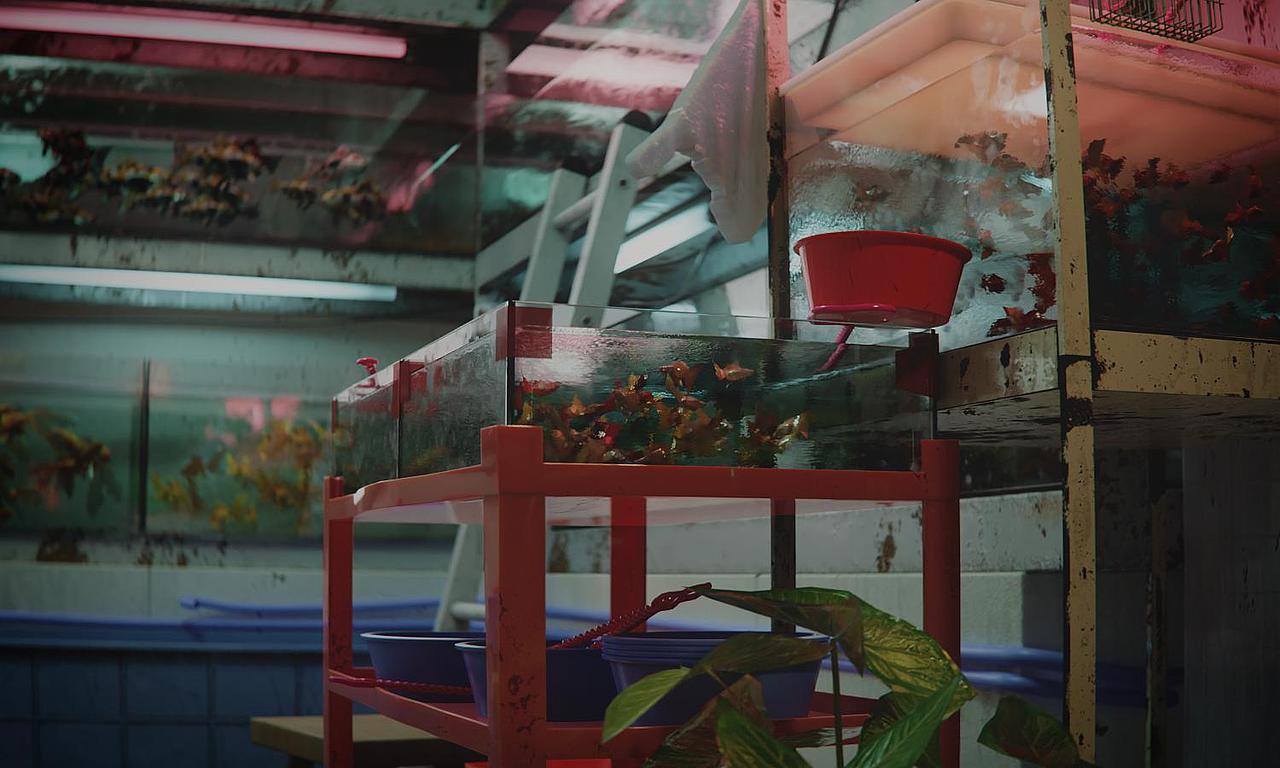 此店不卖金鱼（图ZMjkxNDEzNzky） - 场景 - 站酷设计师落雷原创素材 - 站酷ZCOOL