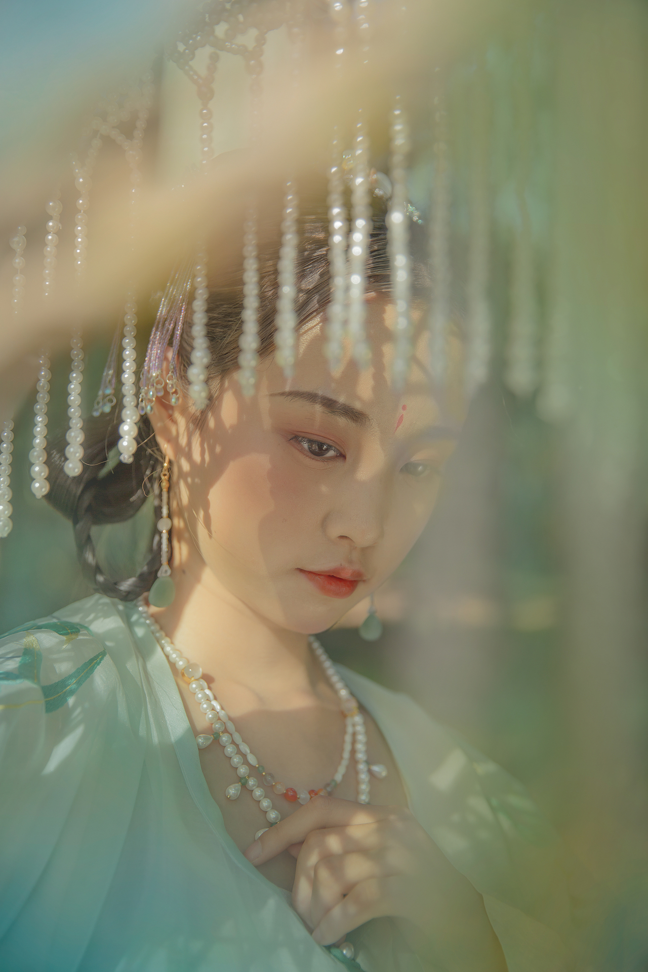 ‖一树满庭芳‖