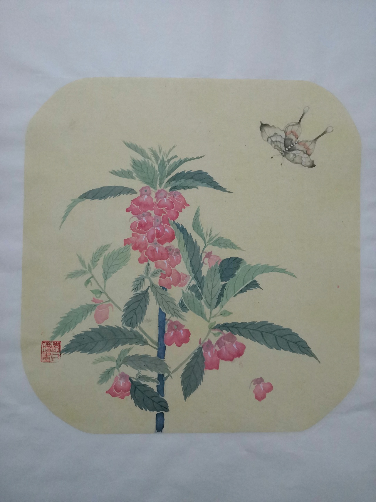 《凤仙花》|纯艺术|绘画|闲鱼不可两条 - 原创作品 - 站酷 (zcool)