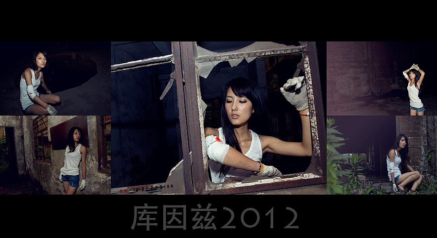 2012年总结