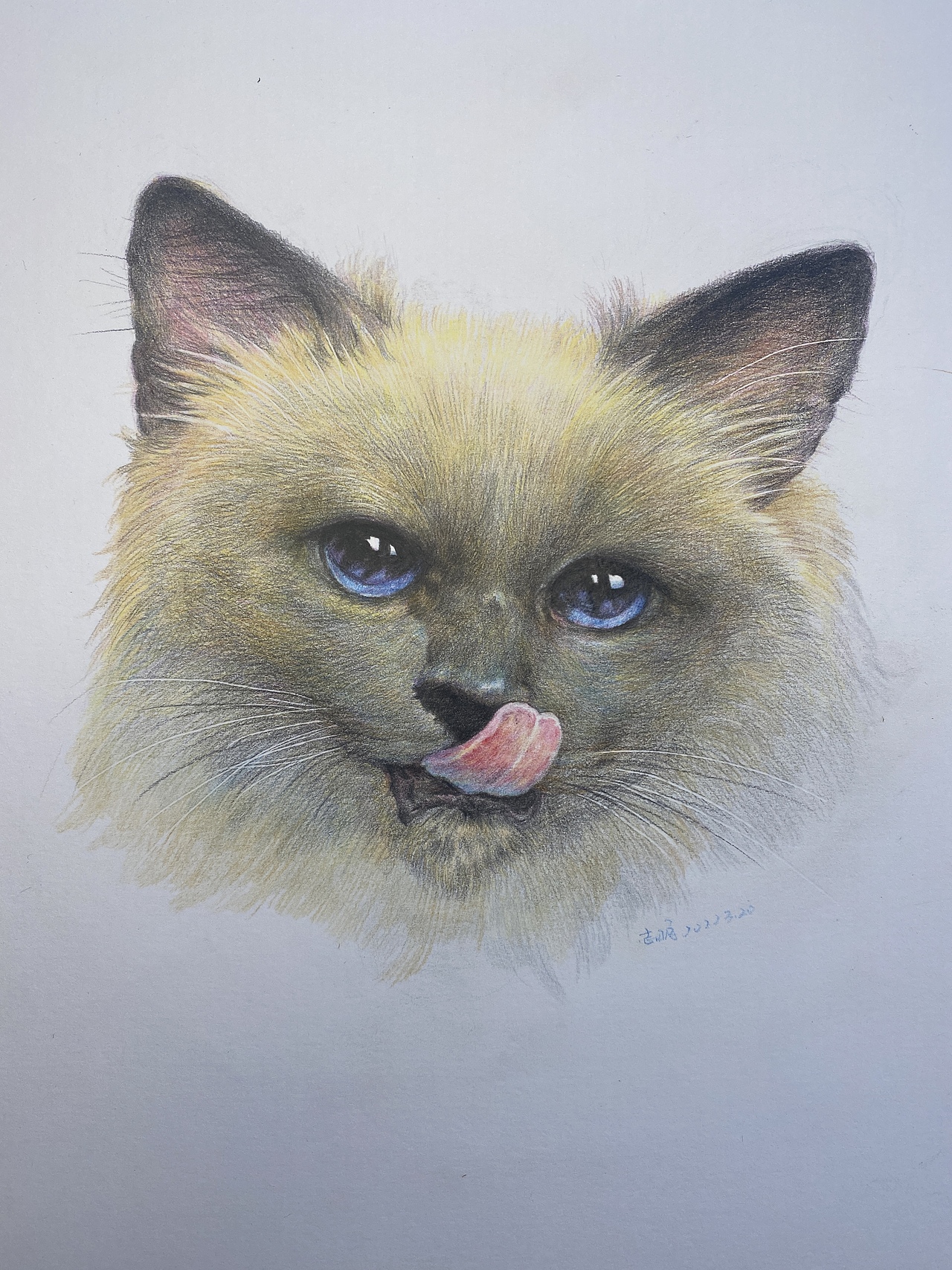 彩铅画，宠物（图ZMjk0MDA1ODQ0） - 新锐潮流插画 - 站酷设计师走者原创素材 - 站酷ZCOOL