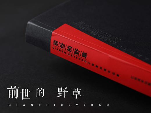 软精装画册：油画作品集《前世的野草》