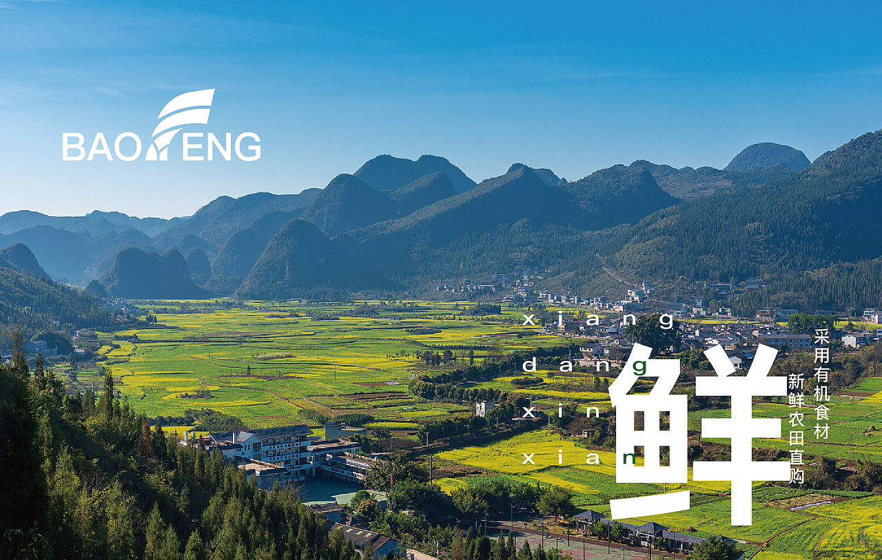 《宝峰农业品牌视觉VI设计全案》（logo+vi）（图ZMzM5OTQ1MjI0） - 品牌 - 站酷设计师展潼云享吧原创素材 - 站酷ZCOOL