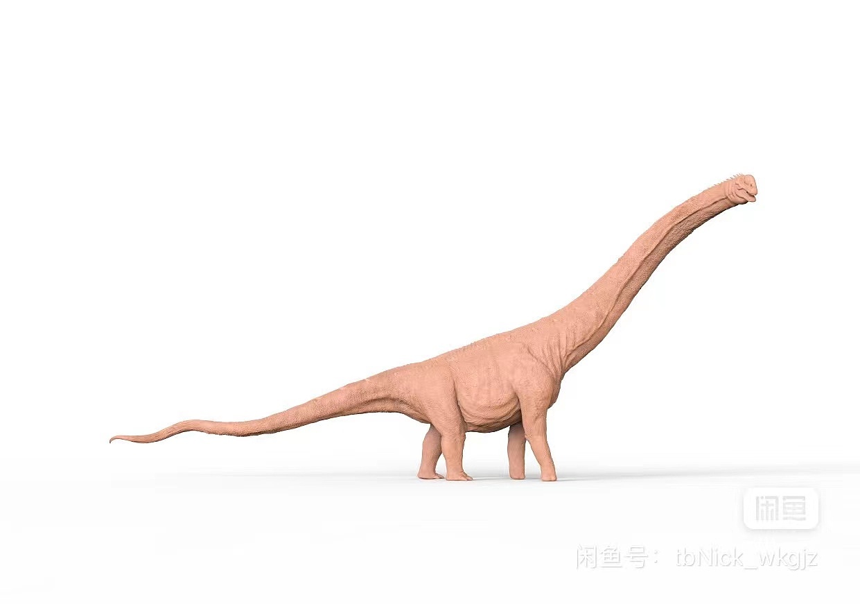 泰坦类巨龙,蜥脚类恐龙,潮汐龙