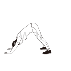 花样健走动态展示二