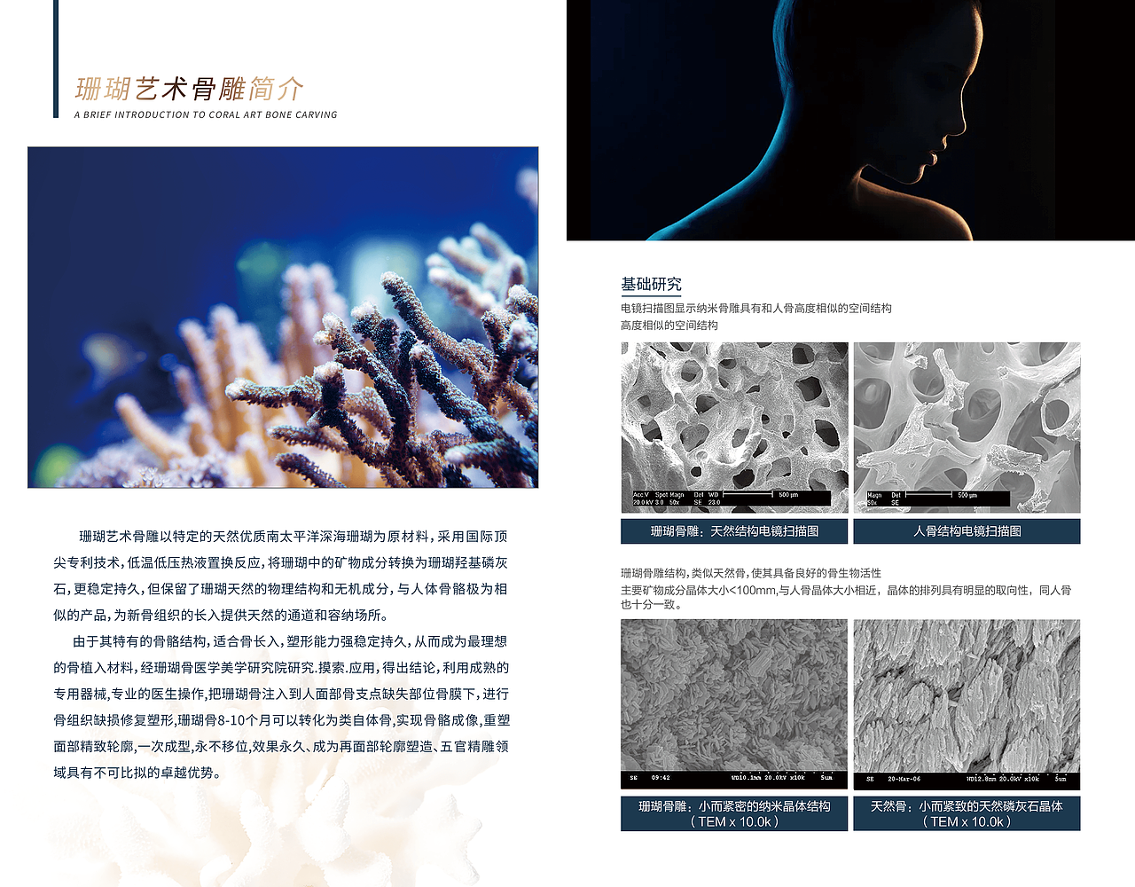 医美·艺术珊瑚骨雕画册（图ZMjgwMDA5Njgw） - 书籍/画册 - 站酷设计师AmelieHn原创素材 - 站酷ZCOOL