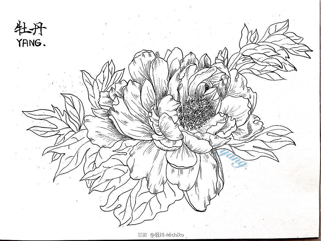 画过的部分春夏秋冬的花