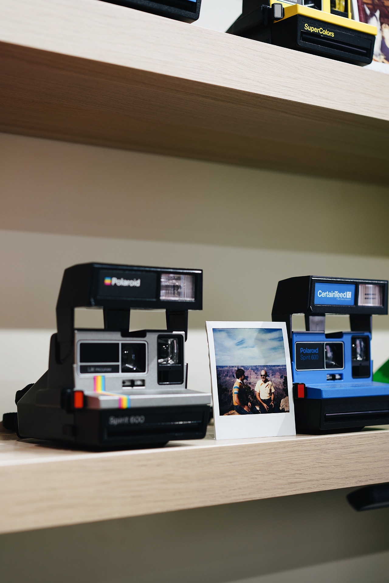 最近拍的一些小碎片