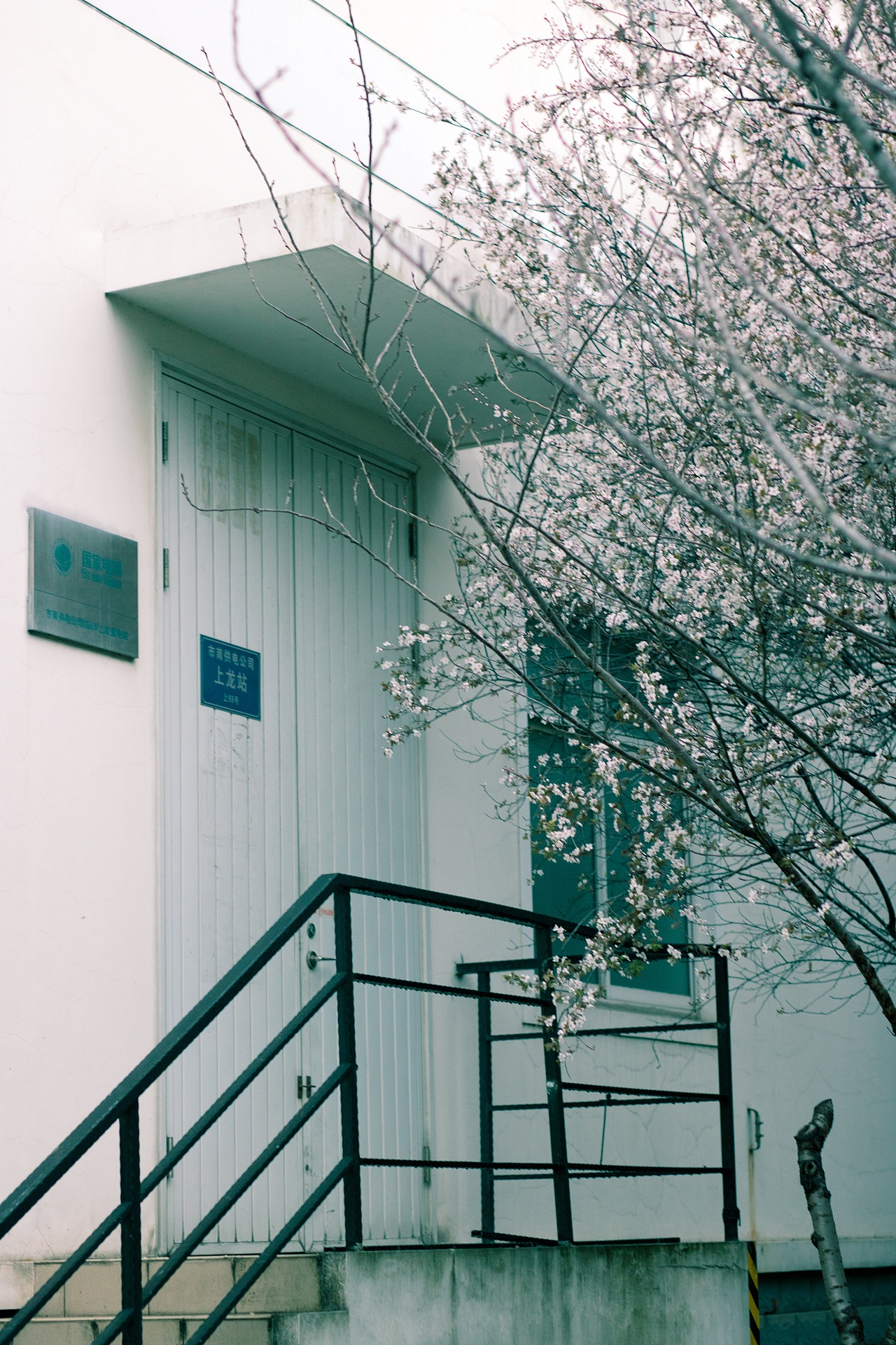 翻去年小區(qū)的春天，今年的春天花也要開啦！~（圖ZMTA2MTA2ODEy） - 人文/紀(jì)實(shí)攝影 - 站酷設(shè)計(jì)師正在做任務(wù)原創(chuàng)素材 - 站酷ZCOOL