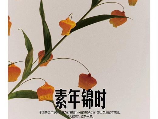 素年锦时