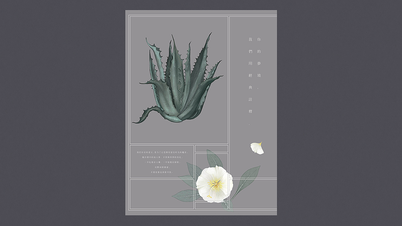 《 The Desert 沙漠派 》艺术生活品牌集合店（图ZMTA4NTM1Njcy） - 品牌 - 站酷设计师你好大海品牌设计原创素材 - 站酷ZCOOL