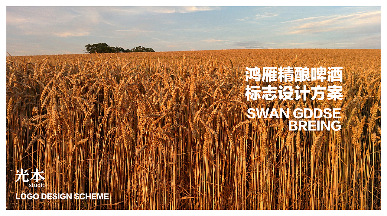 鸿雁精酿【品牌视觉】