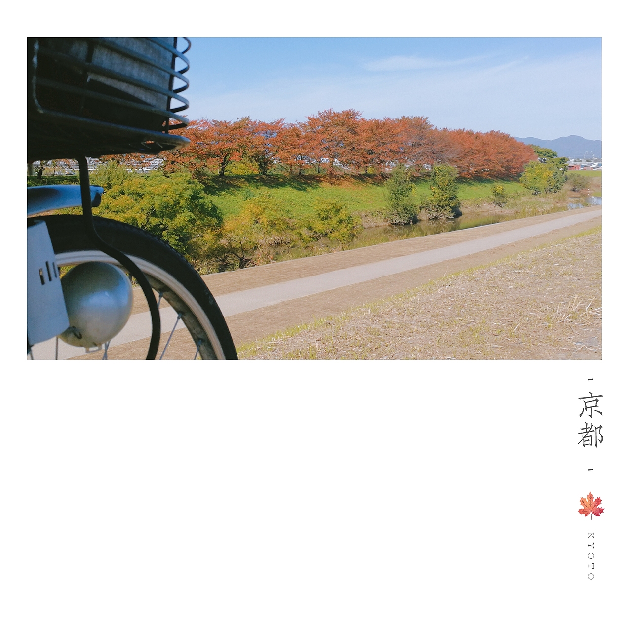 京都楓葉季