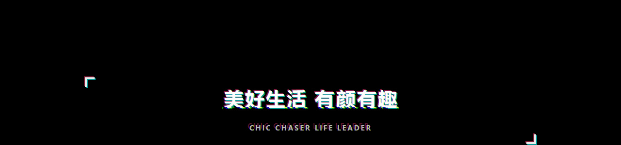 ONION GROUP  |  官网设计