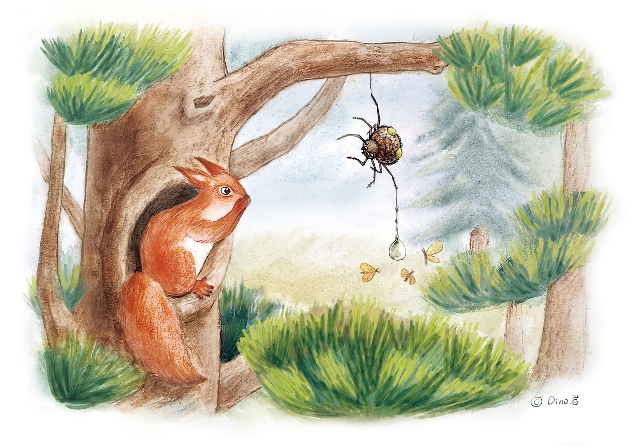 科普图书内插,流星锤蜘蛛捕食