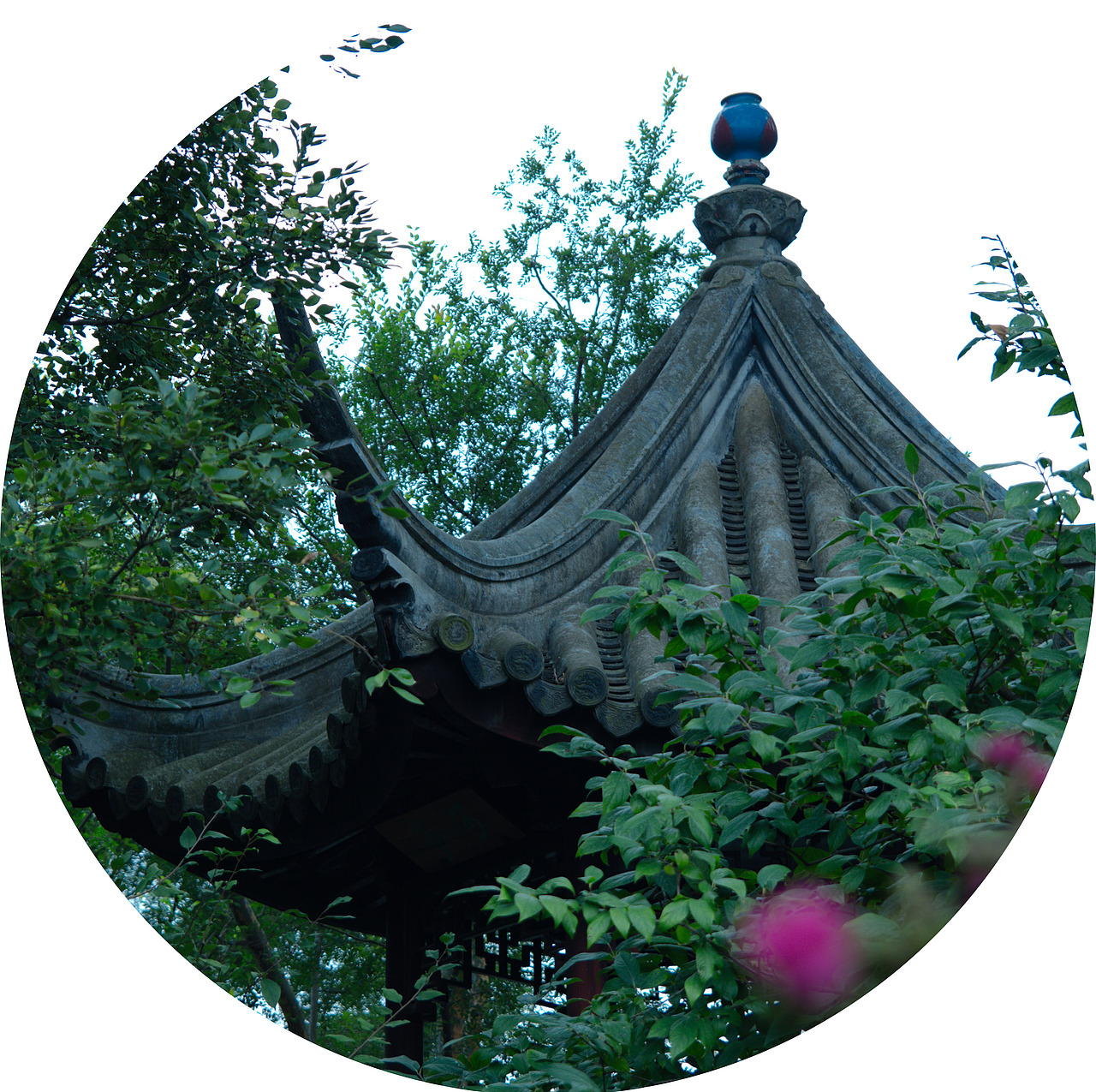 一大波苏州园林来袭（图ZMzQ3MTU4MTY=） - 风光摄影 - 站酷设计师克拉克肯特原创素材 - 站酷ZCOOL